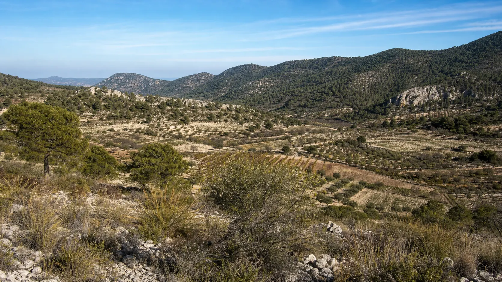 Vista de Bullas, Murcia